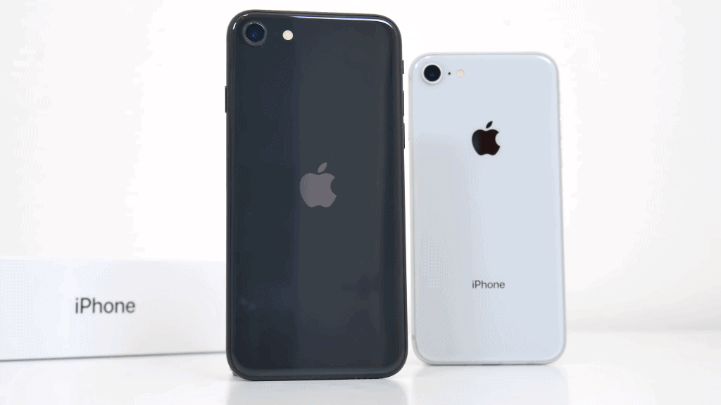 iPhone SE vs iPhone 8 back