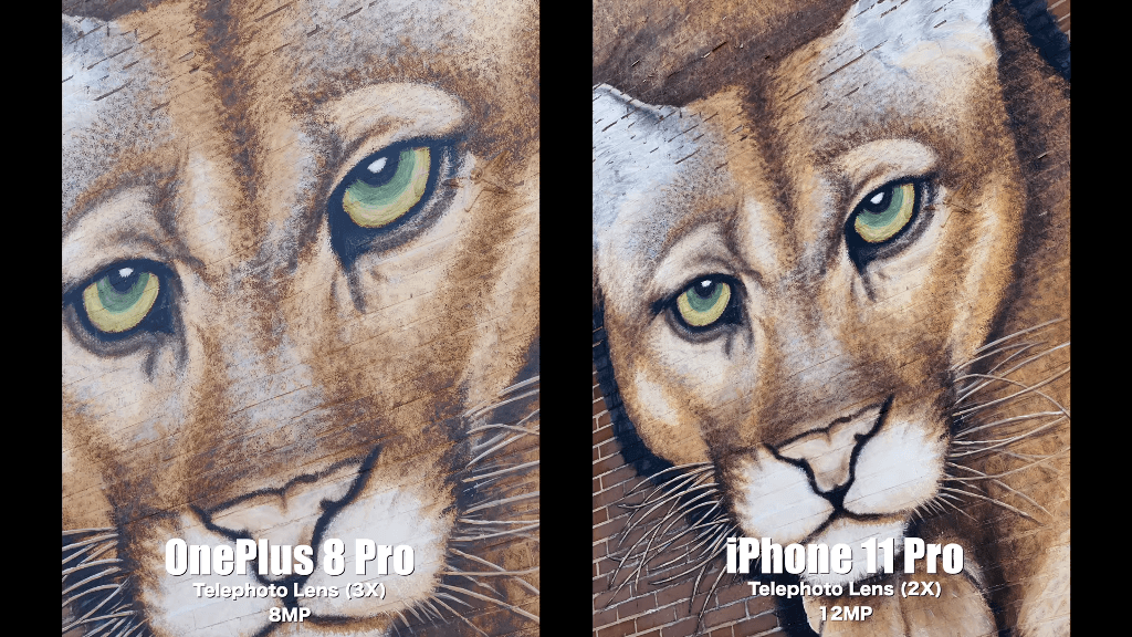 OnePlus 8 Pro VS iPhone 11 Pro Camera pic1