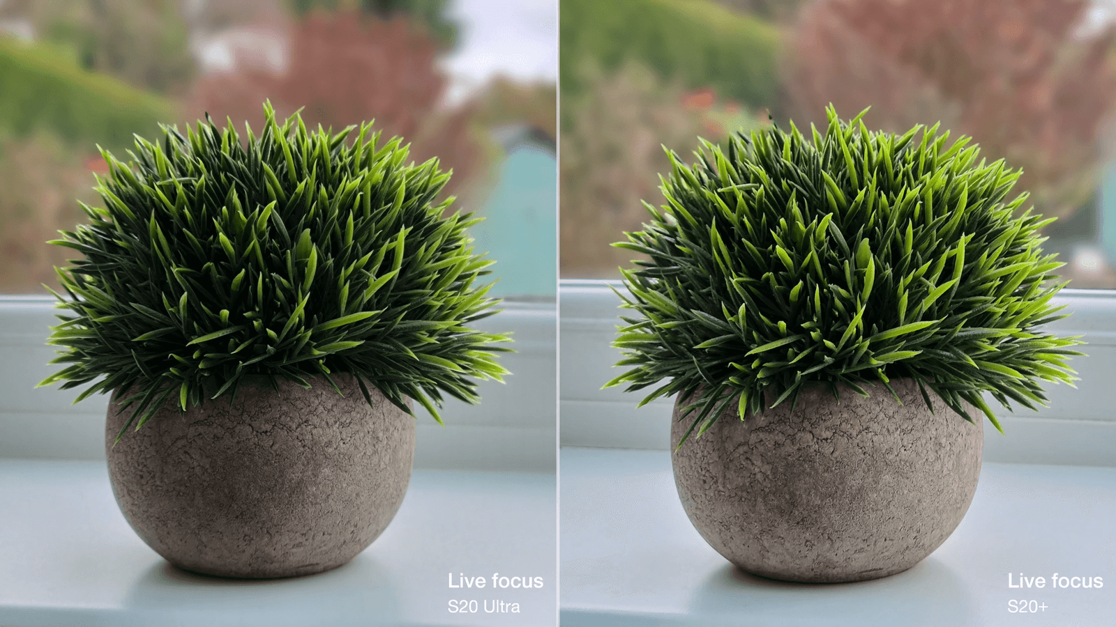 Galaxy S20 Ultra vs Galaxy S20 Plus Live focus