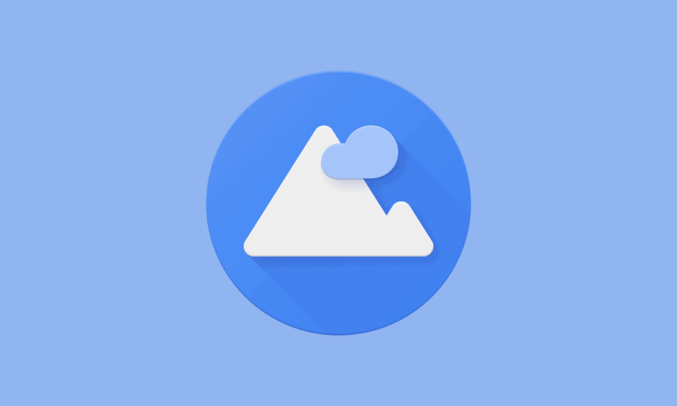 Google Wallpapers application