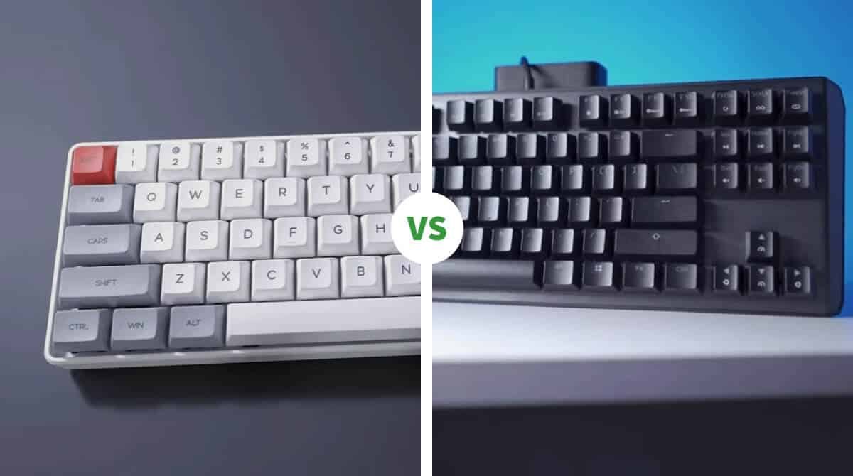 Epomaker Sk61 Vs Cooler Master Ck530 V2 Mechanical Keyboard