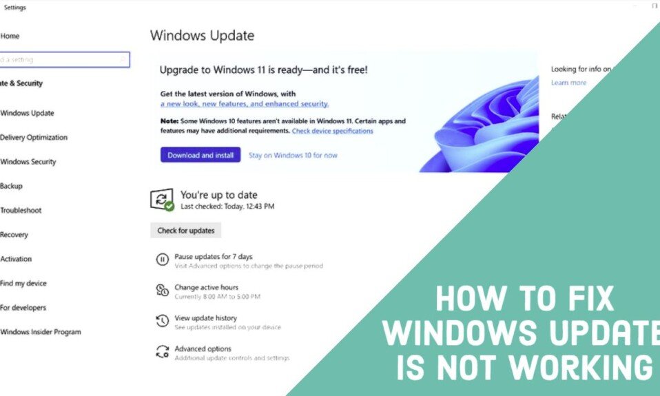 How To Fix Windows Update Is Not Working