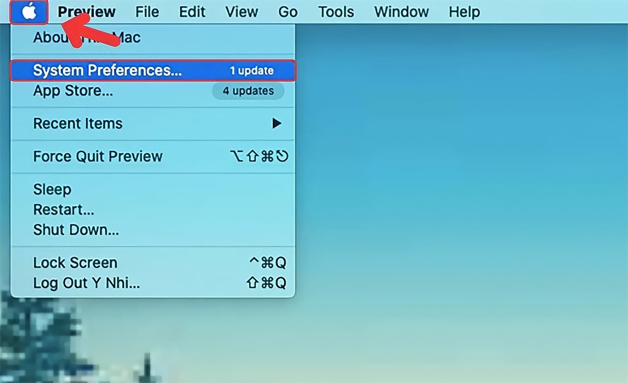 Select System preferences