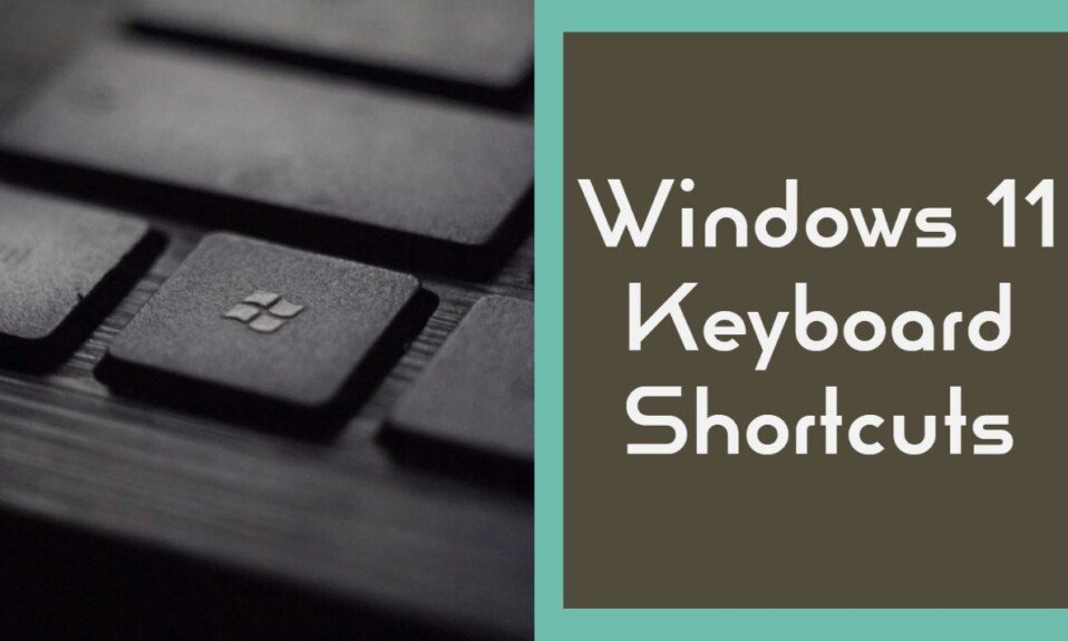 New Useful Keyboard Shortcuts In Windows 11 Updated