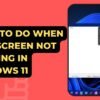 What To Do When Split Screen Not Working In Windows 11
