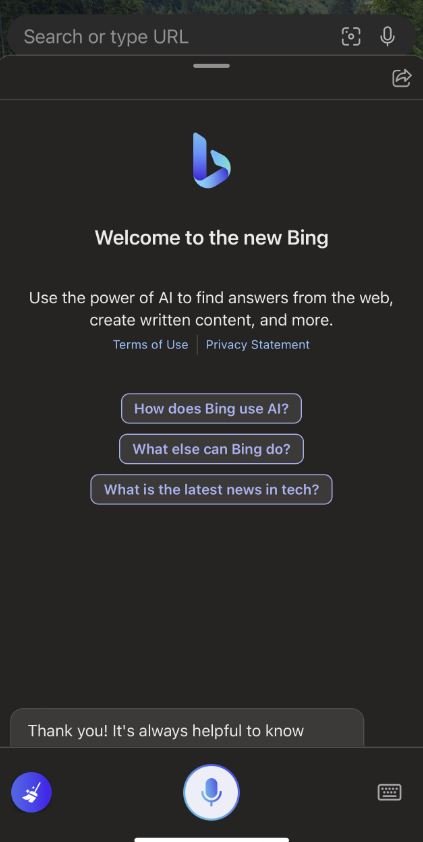 Bing Chat mobile