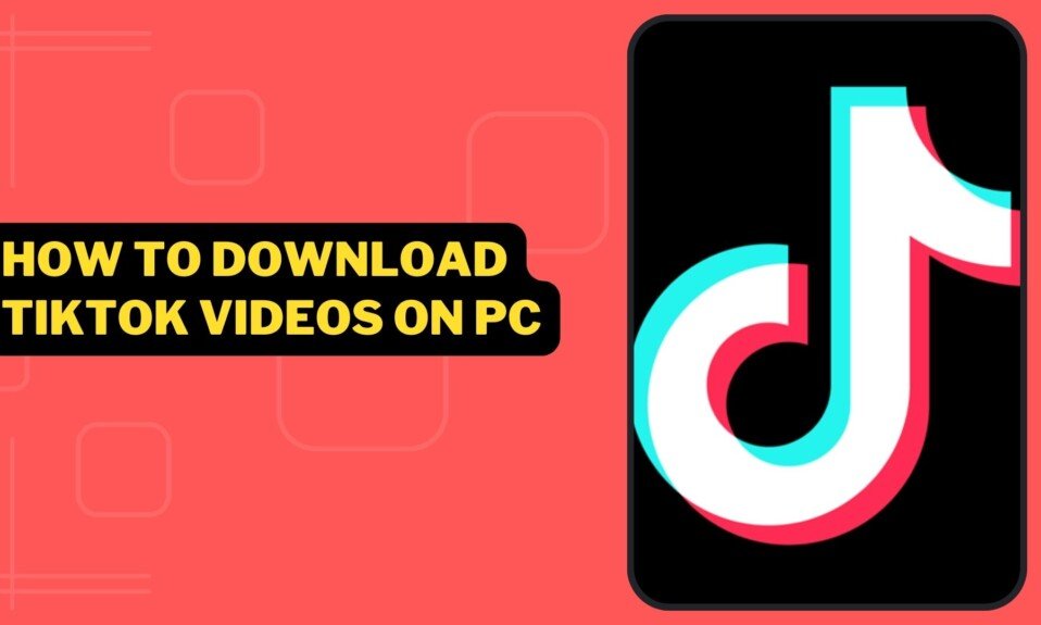 How To Download TikTok Videos On PC