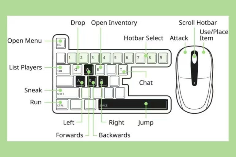 How To Play Minecraft: A Beginner’s Guide Of Basic Controls